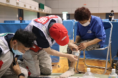 日本赤十字の活動写真2